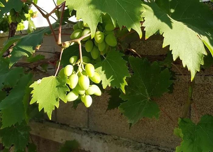 Sunset Апартаменты *